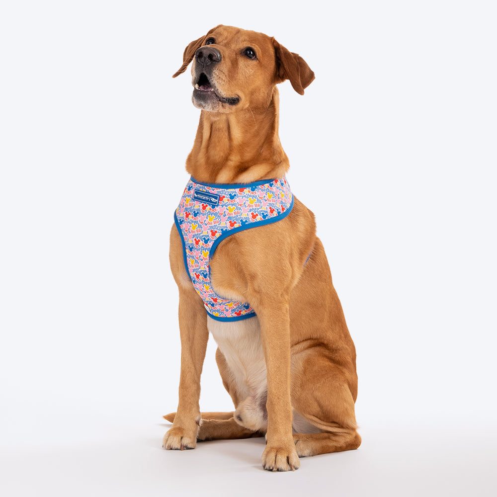 HUFT X© Disney 2.0 Mickey Reversible Dog Harness - Blue - Heads Up For Tails