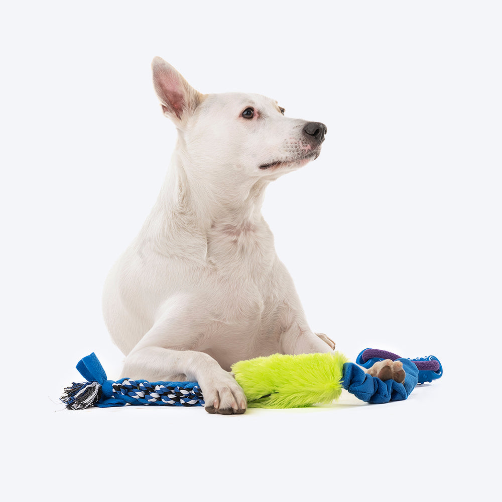 HUFT Bash Dog Toy - Heads Up For Tails