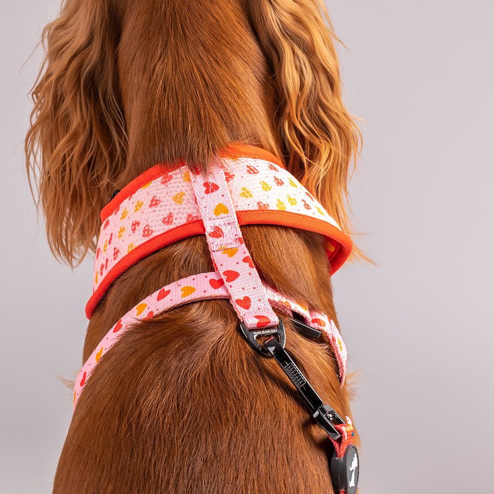 HUFT Summer Rapture Reversible Printed Harness - Heads Up For Tails