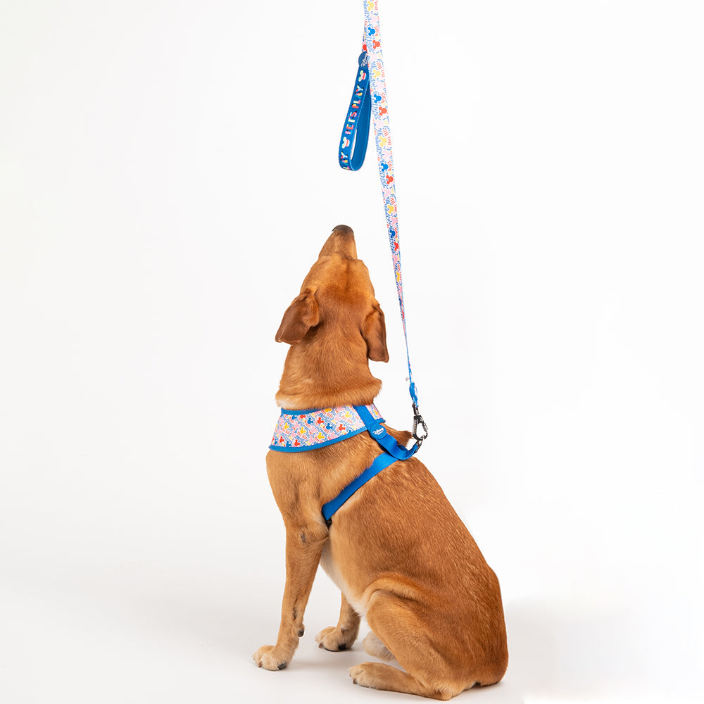 HUFT X© Disney 2.0 Mickey Reversible Dog Harness - Blue - Heads Up For Tails
