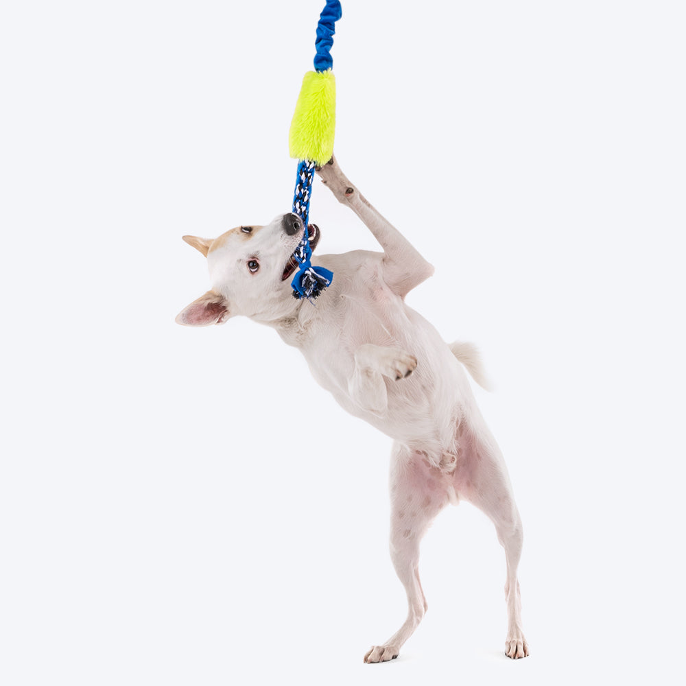 Dog tug outlet of war pole