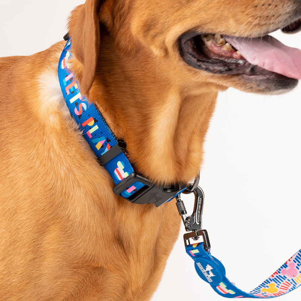 HUFT X©Disney 2.0 Mickey Printed Dog Collar - Blue - Heads Up For Tails