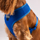 HUFT Classic Mesh Dog Harness - Blue - Heads Up For Tails