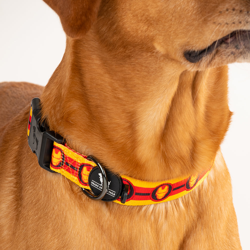 HUFT X©Marvel 2.0 Iron Man Printed Dog Collar - Yellow and Red - Heads Up For Tails