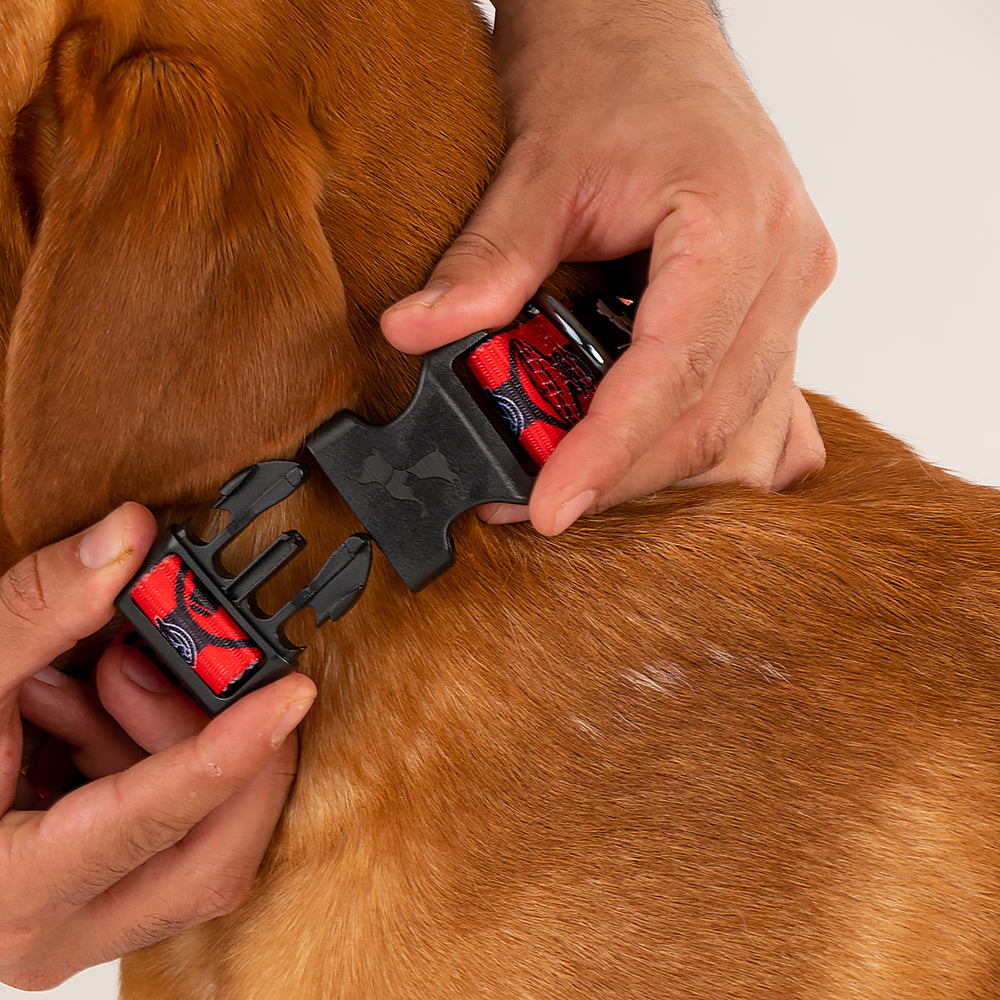HUFT X©Marvel 2.0 Avengers Printed Dog Collar - Red and Black - Heads Up For Tails