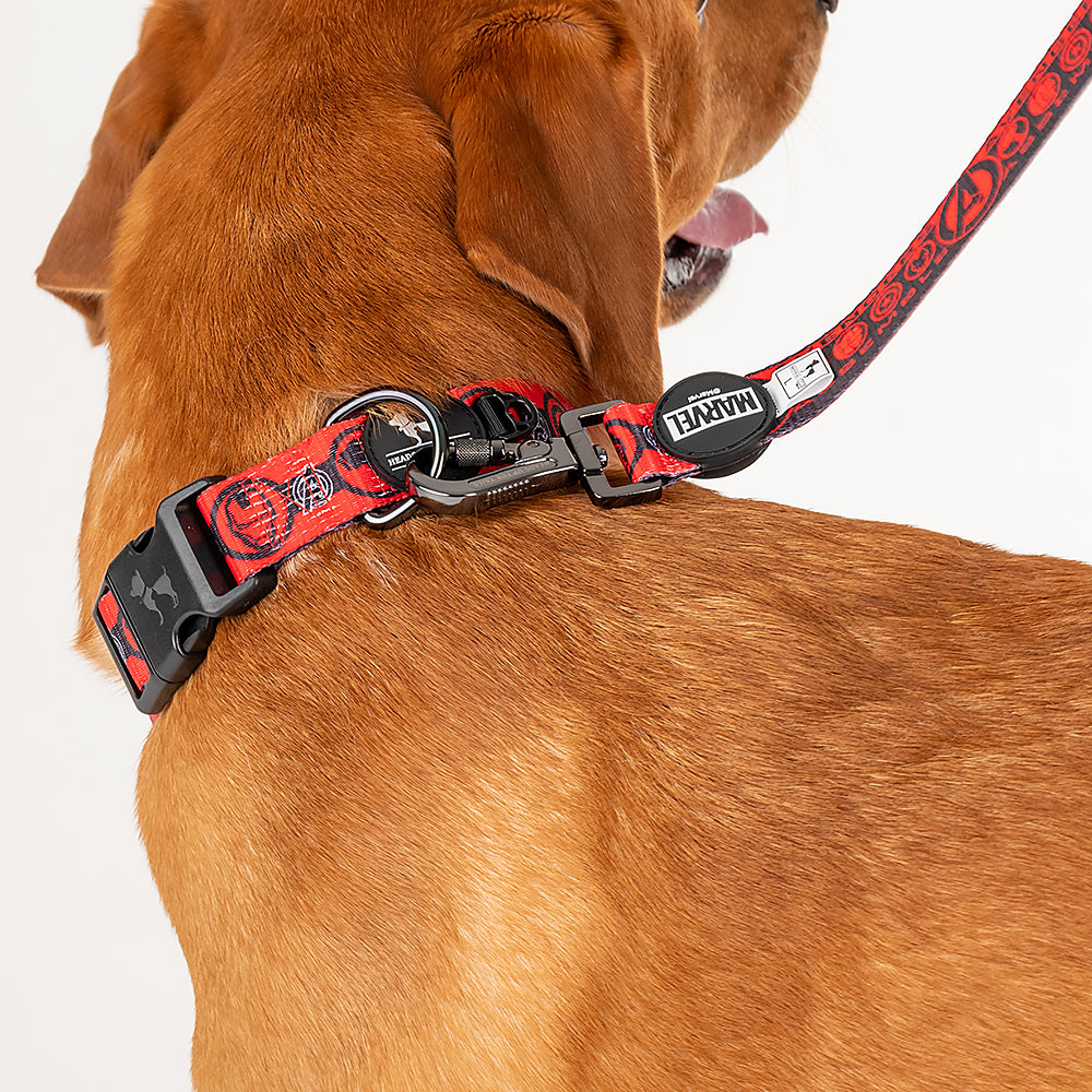 HUFT X©Marvel 2.0 Avengers Printed Dog Collar - Red and Black - Heads Up For Tails