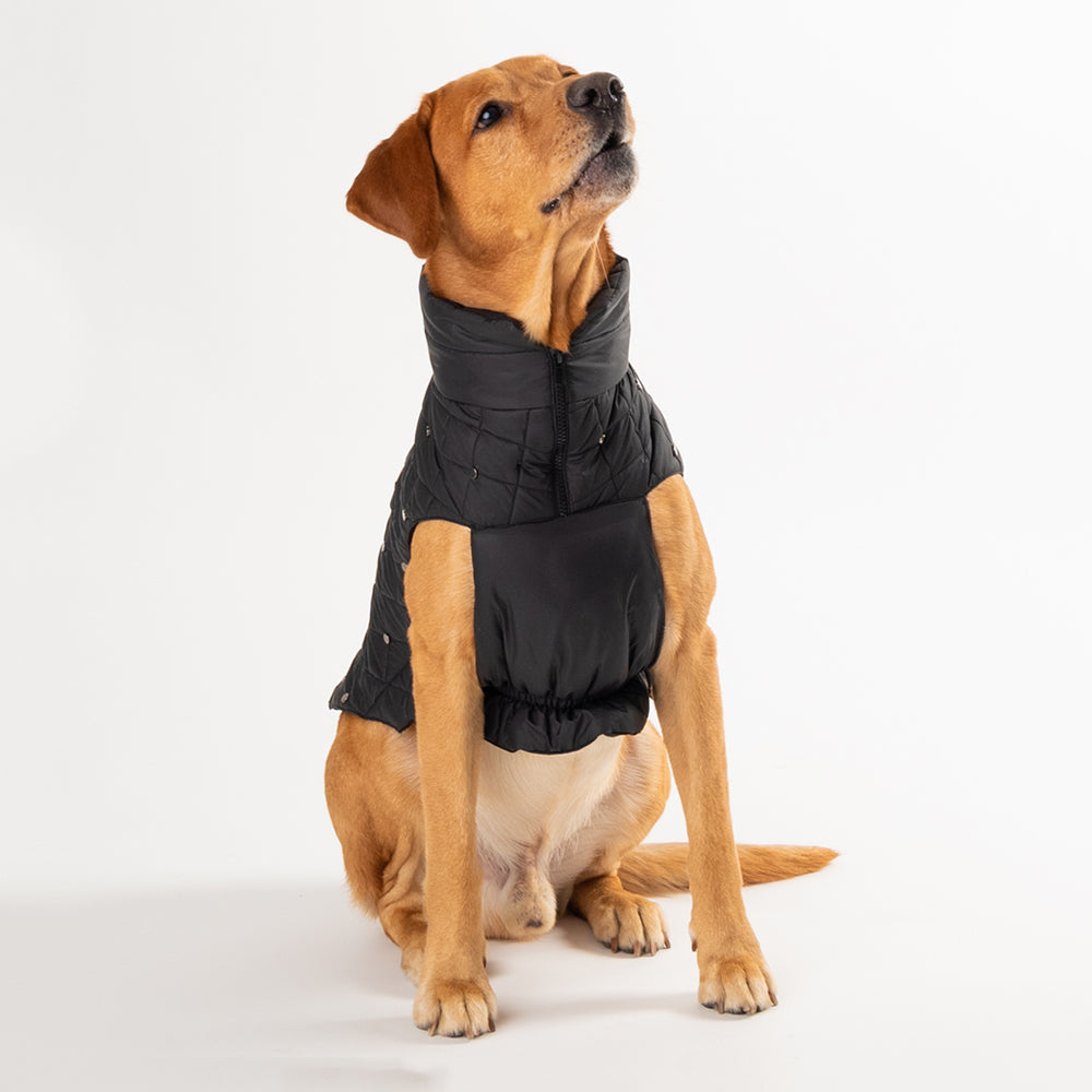 HUFT Luxe Stud Quilted Jacket For Pet - Black - Heads Up For Tails