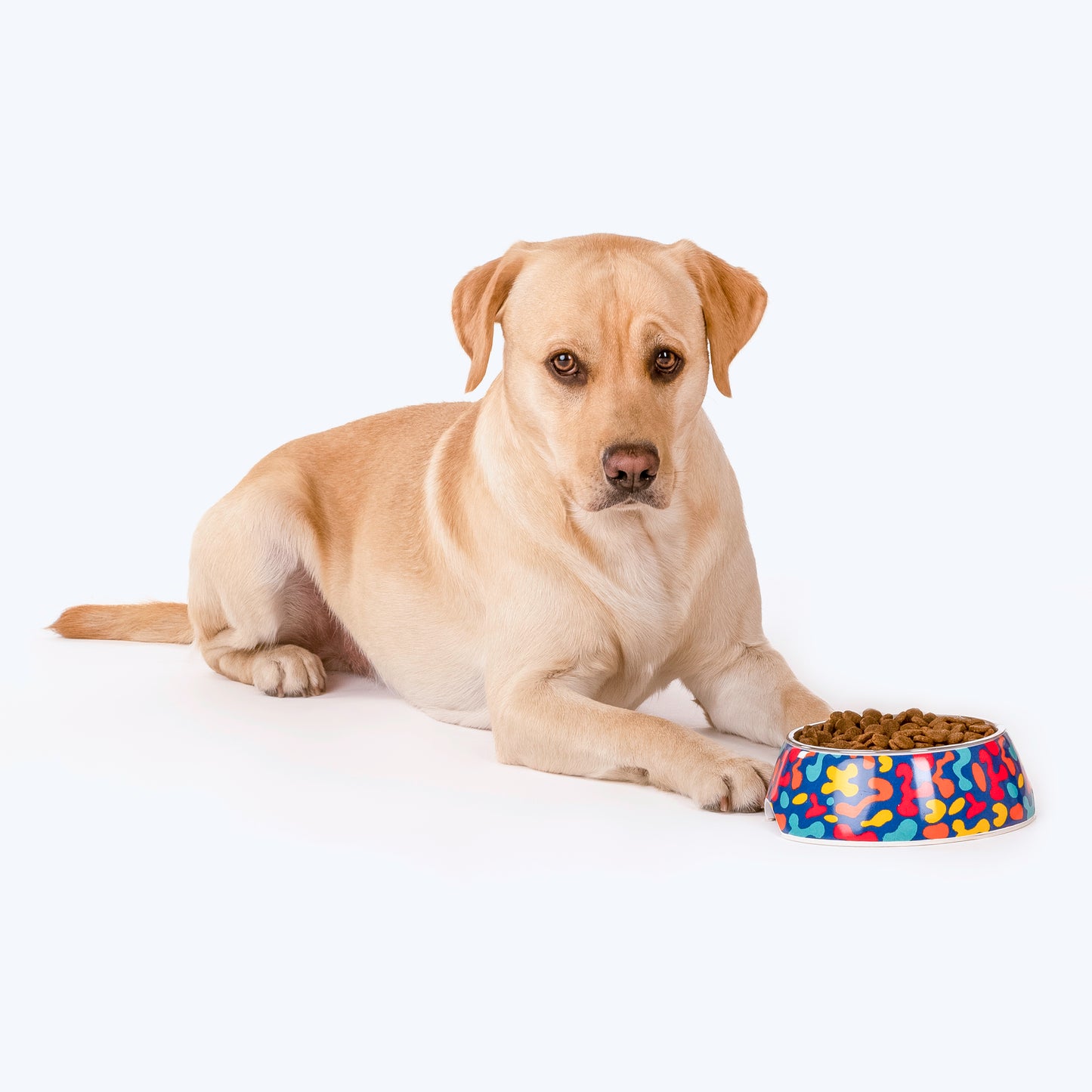 HUFT Colour Craze Melamine Bowl For Dogs And Cats - Heads Up For Tails