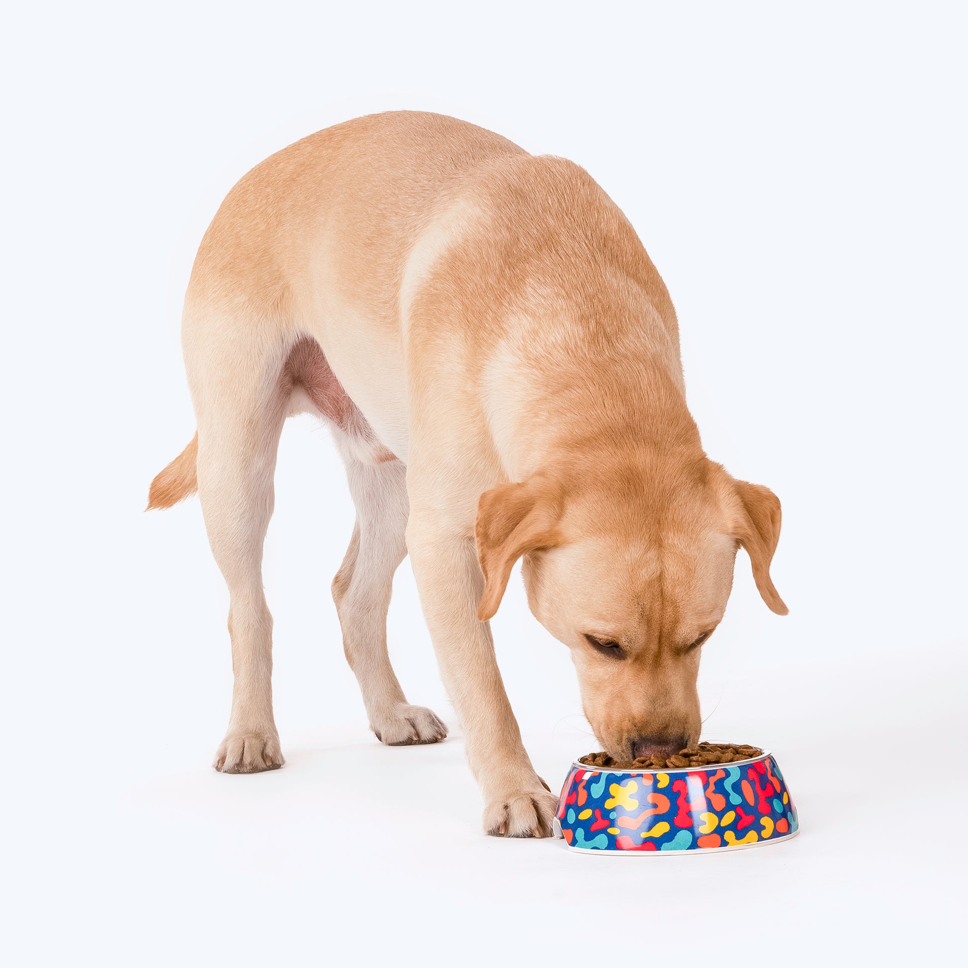 HUFT Colour Craze Melamine Bowl For Dogs And Cats - Heads Up For Tails