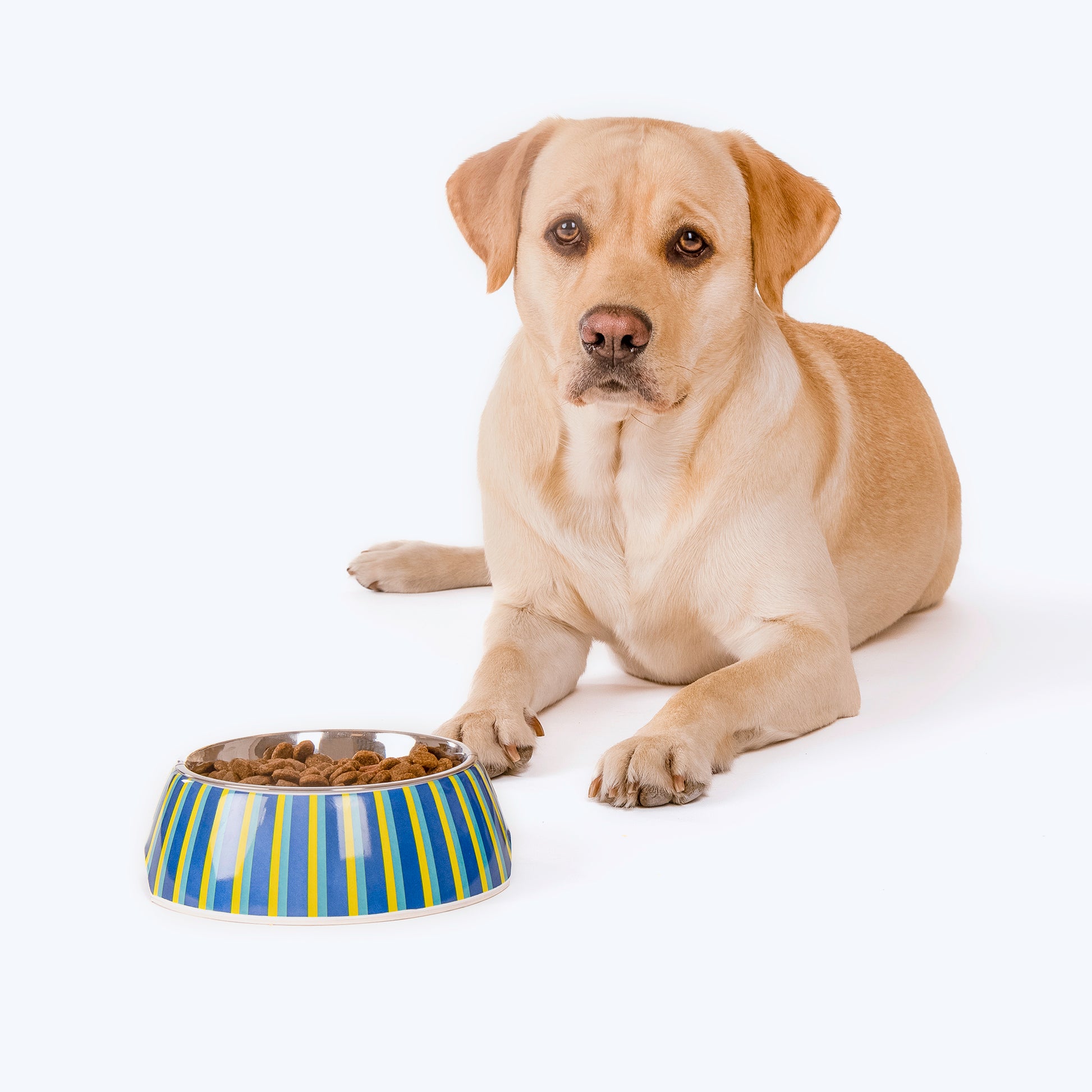 HUFT Blazing Blue Melamine Bowl For Dogs and Cats - Heads Up For Tails