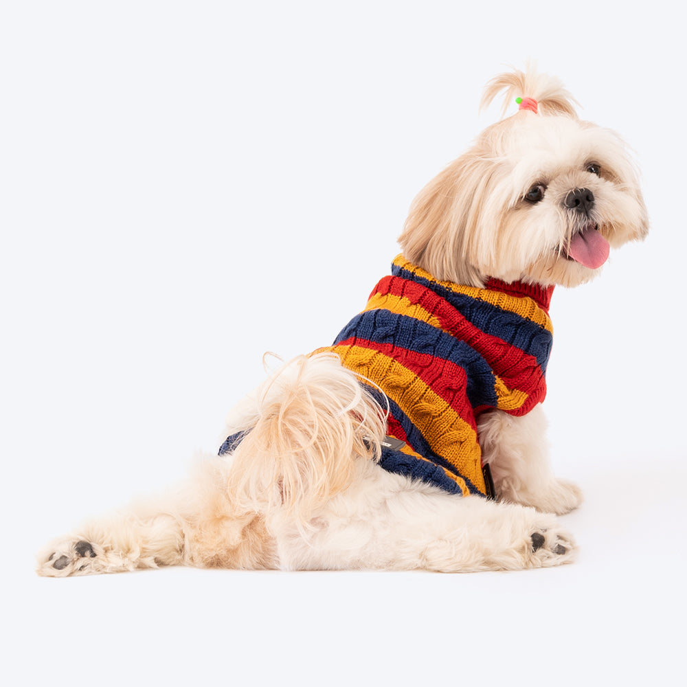 HUFT Classic Stripe Pet Sweater - Multi - Heads Up For Tails