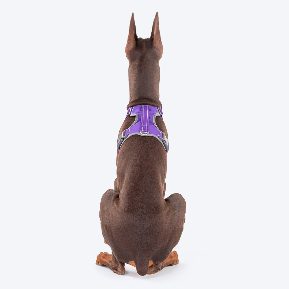 HUFT Active Pet Dog Harness - Purple_06