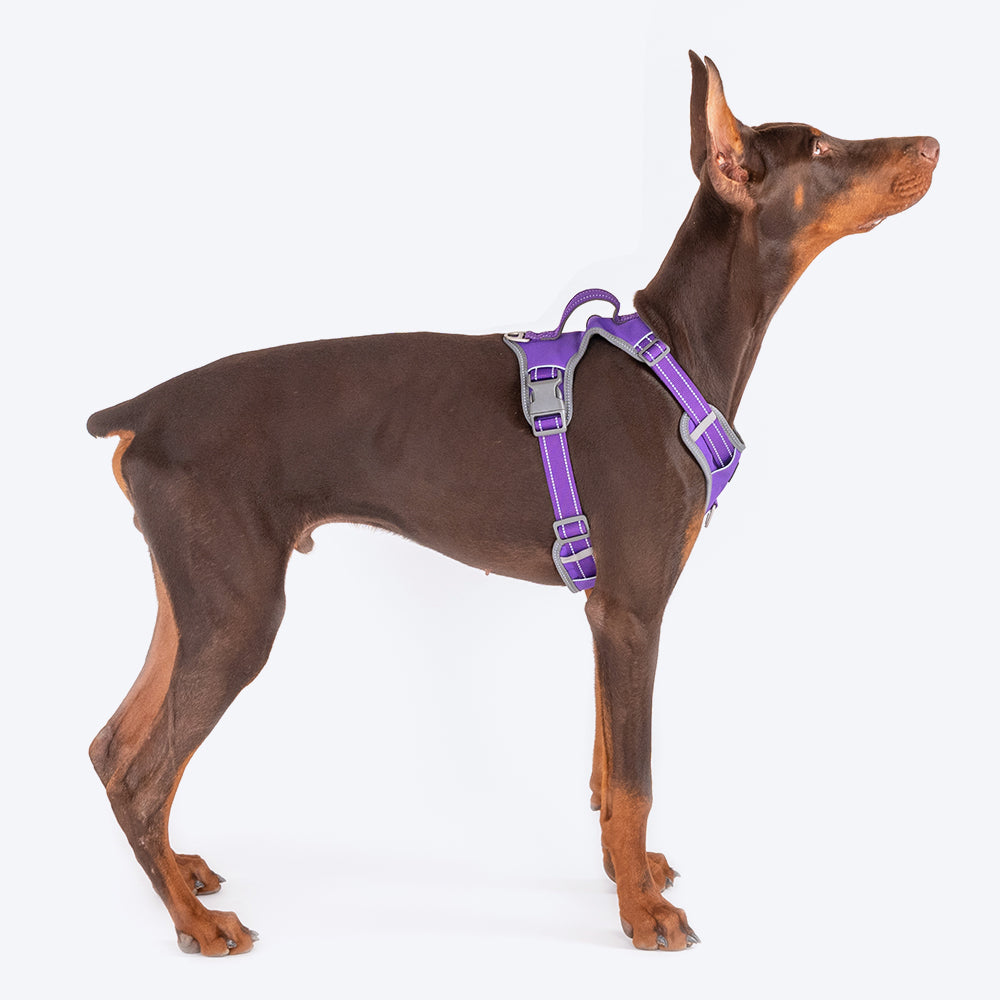 HUFT Active Pet Dog Harness - Purple_08