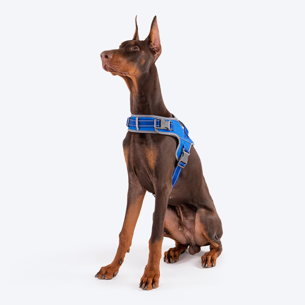 HUFT Easy On Dog Harness - Blue - Heads Up For Tails