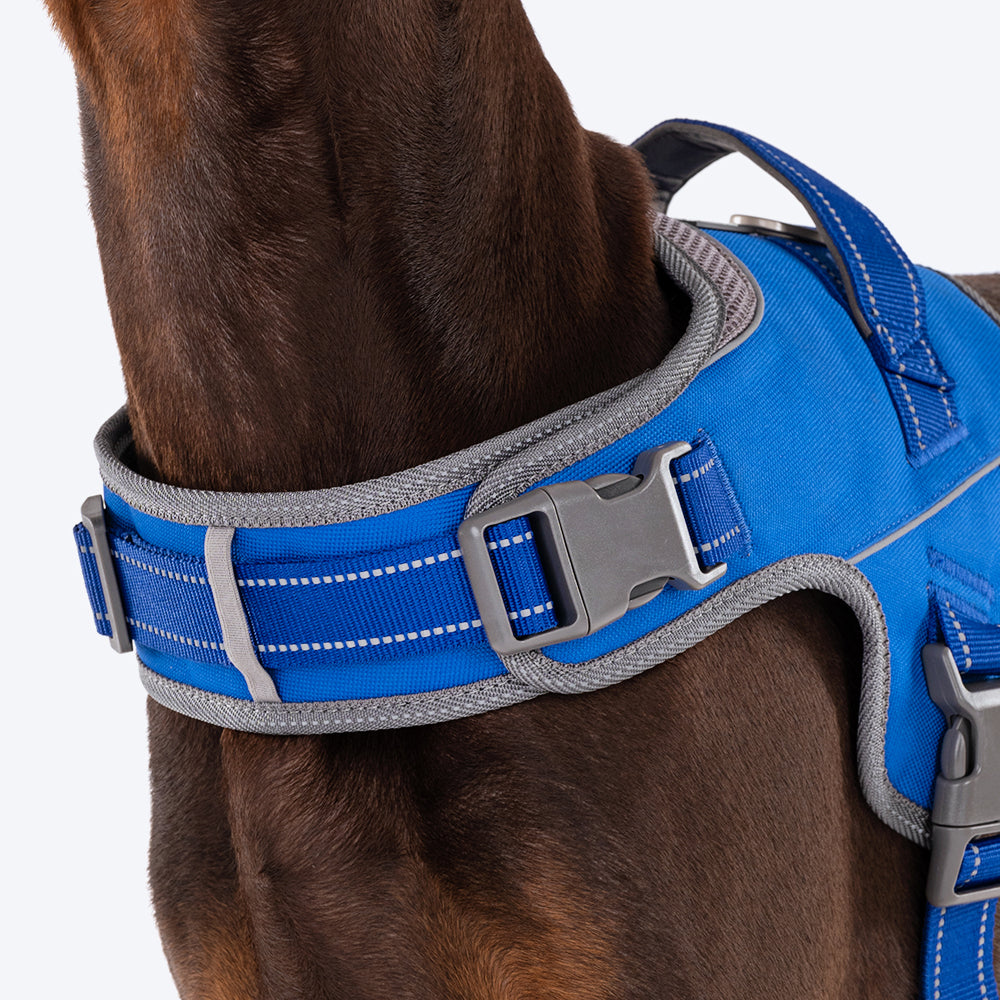 HUFT Easy On Dog Harness - Blue - Heads Up For Tails