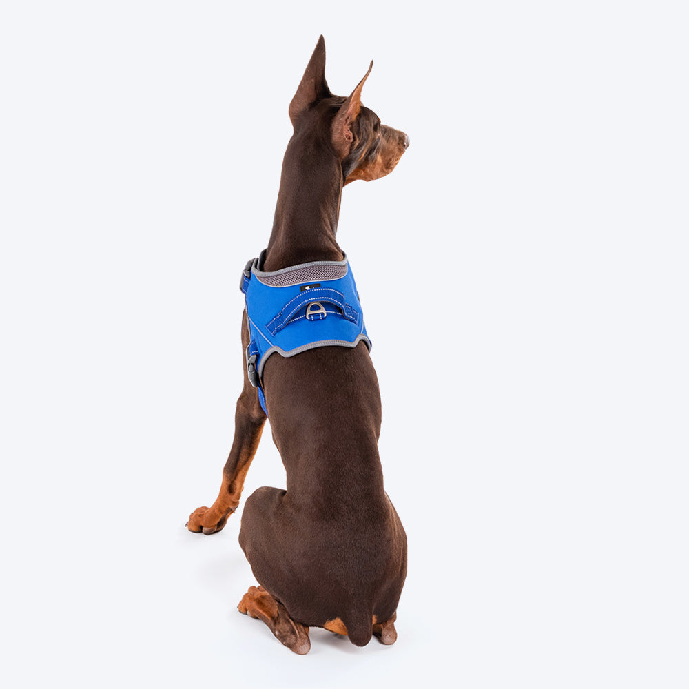 HUFT Easy On Dog Harness - Blue - Heads Up For Tails