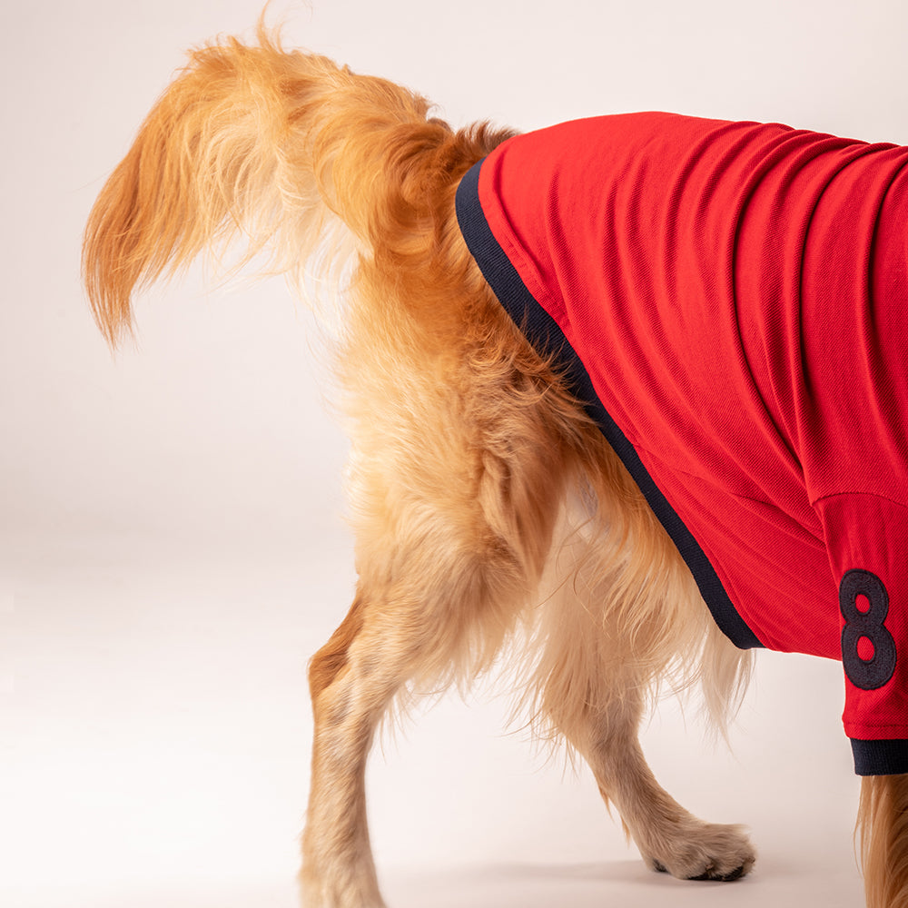 Dog red outlet shirt