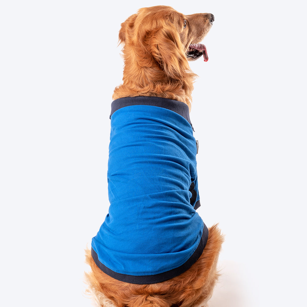 HUFT Polo T-Shirt For Dog - Blue - Heads Up For Tails