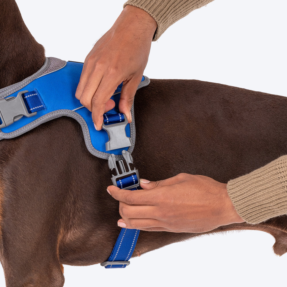 HUFT Easy On Dog Harness - Blue - Heads Up For Tails