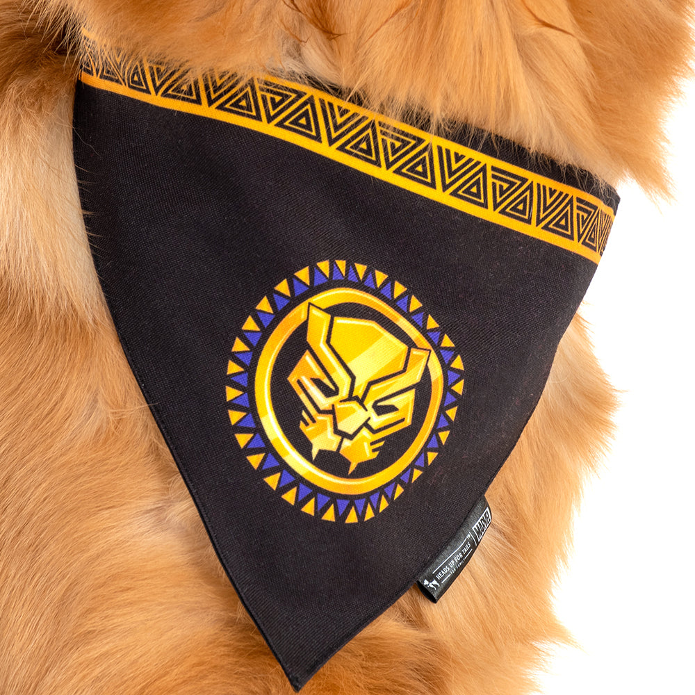  HUFT X©Marvel 2.0 Black Panther Printed Dog Collar and Leash  Set : Pet Supplies