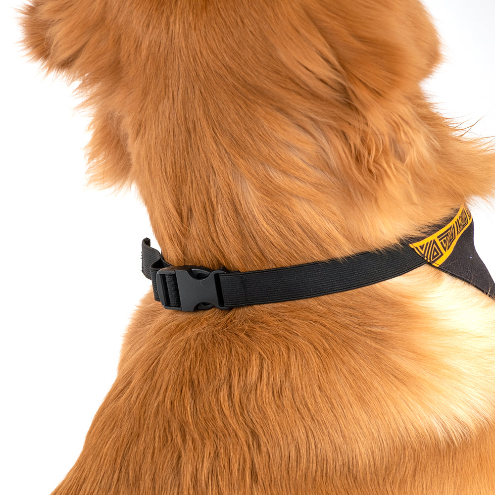 HUFT X©Marvel Black Panther Dog Bandana - Heads Up For Tails