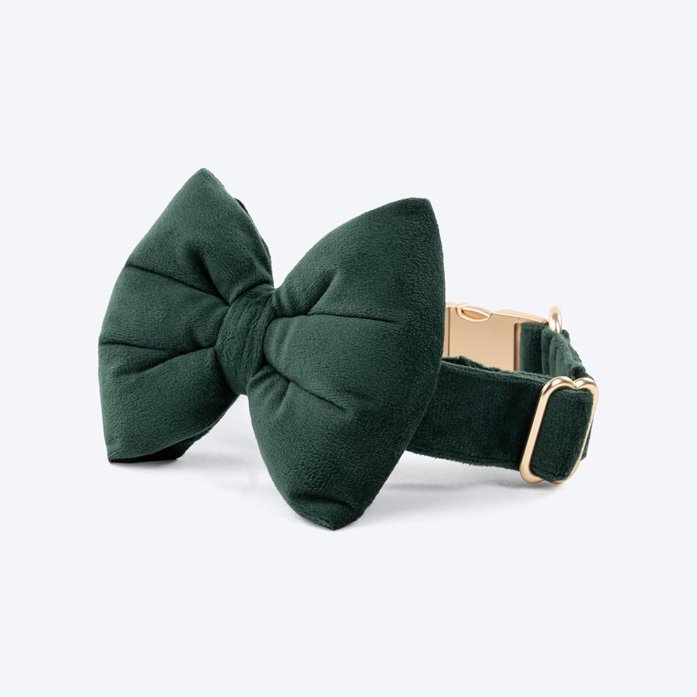 HUFT Emerald Royale Velvet Collar With Bow Tie For Dogs - Green - Heads Up For Tails