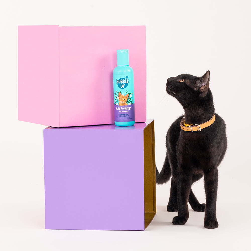 Bubble Up - Purr & Pretty Cat Shampoo-3