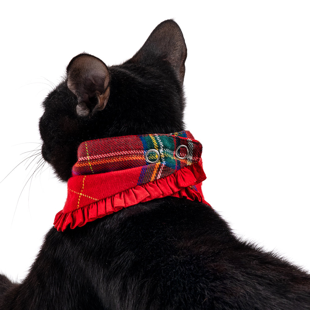 HUFT Under The Mistletoe Pet Scarf (Red and Green) - Heads Up For Tails