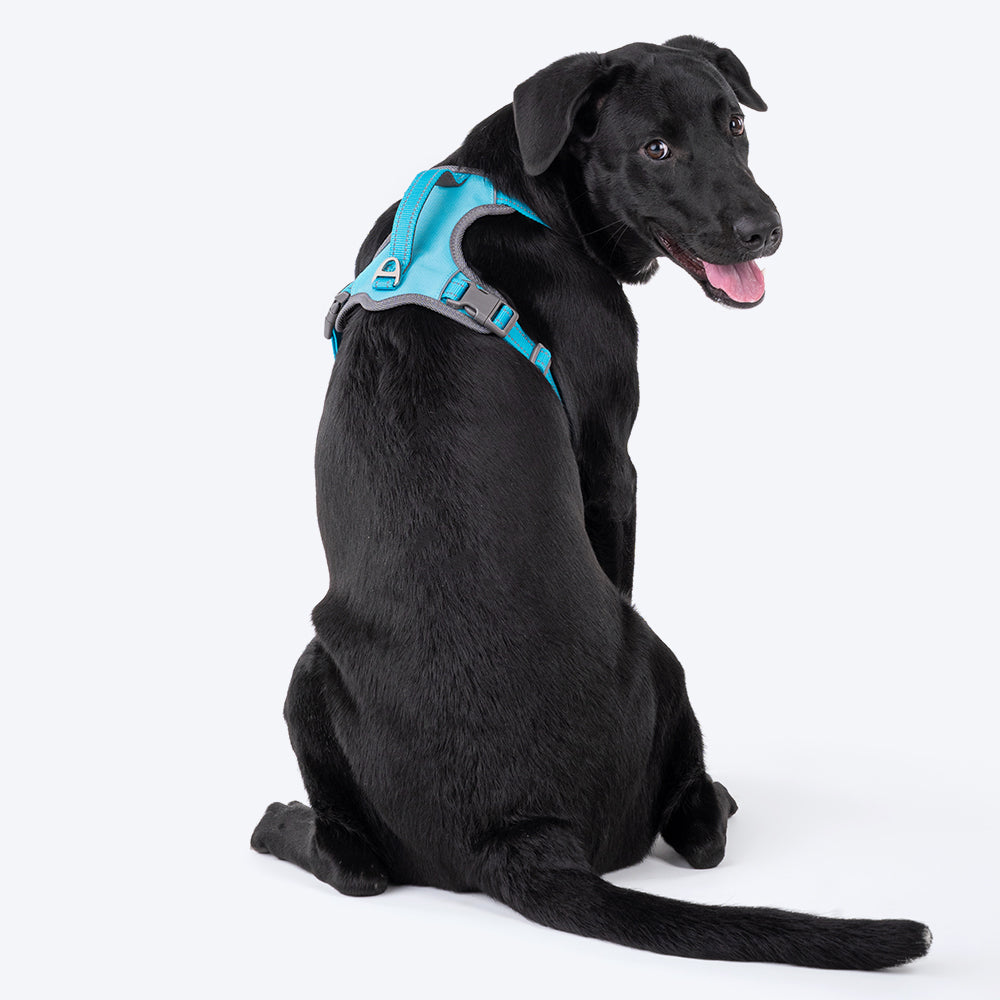 HUFT Active Pet Dog Harness - Light Blue - Heads Up For Tails