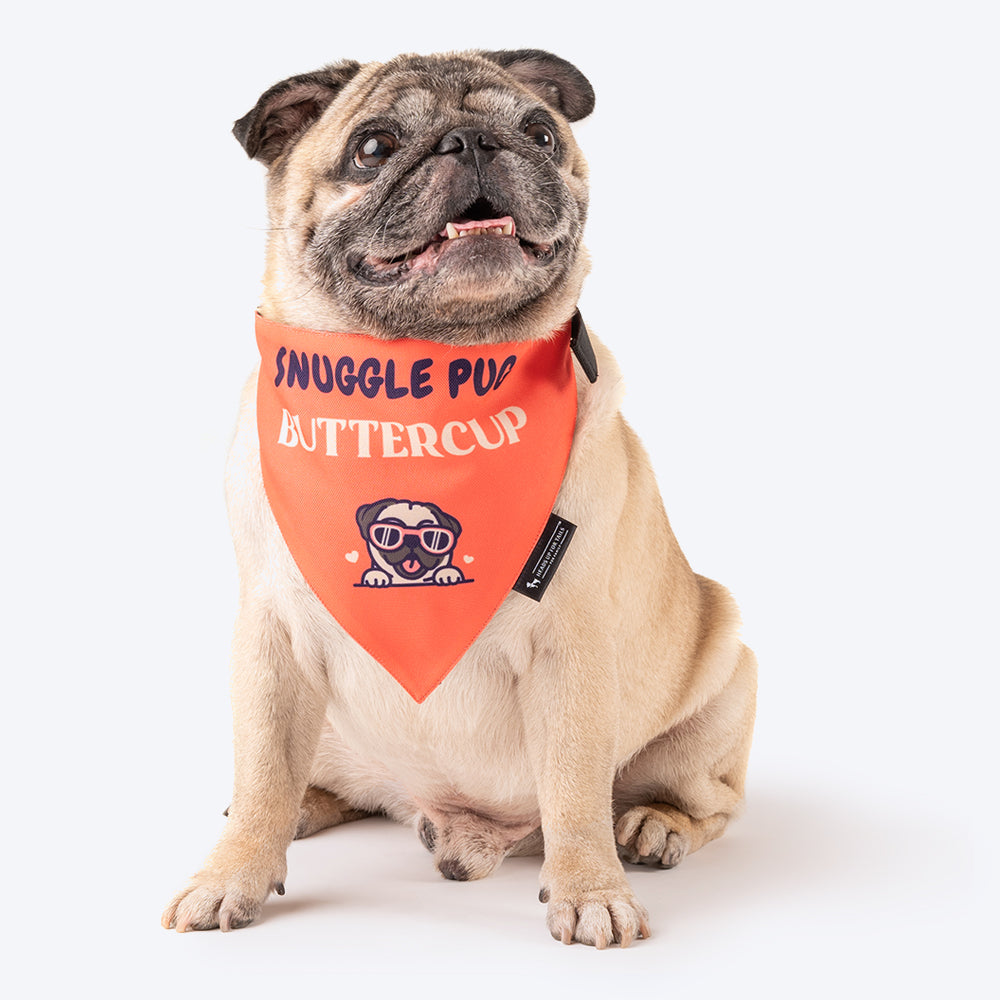 HUFT Personalised Snuggle Pug (Pet is Name) Bandana - Heads Up For Tails