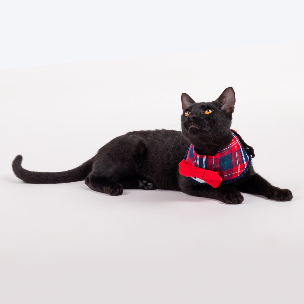 HUFT Merry All Around Pet Scarf (Red and Blue) - Heads Up For Tails