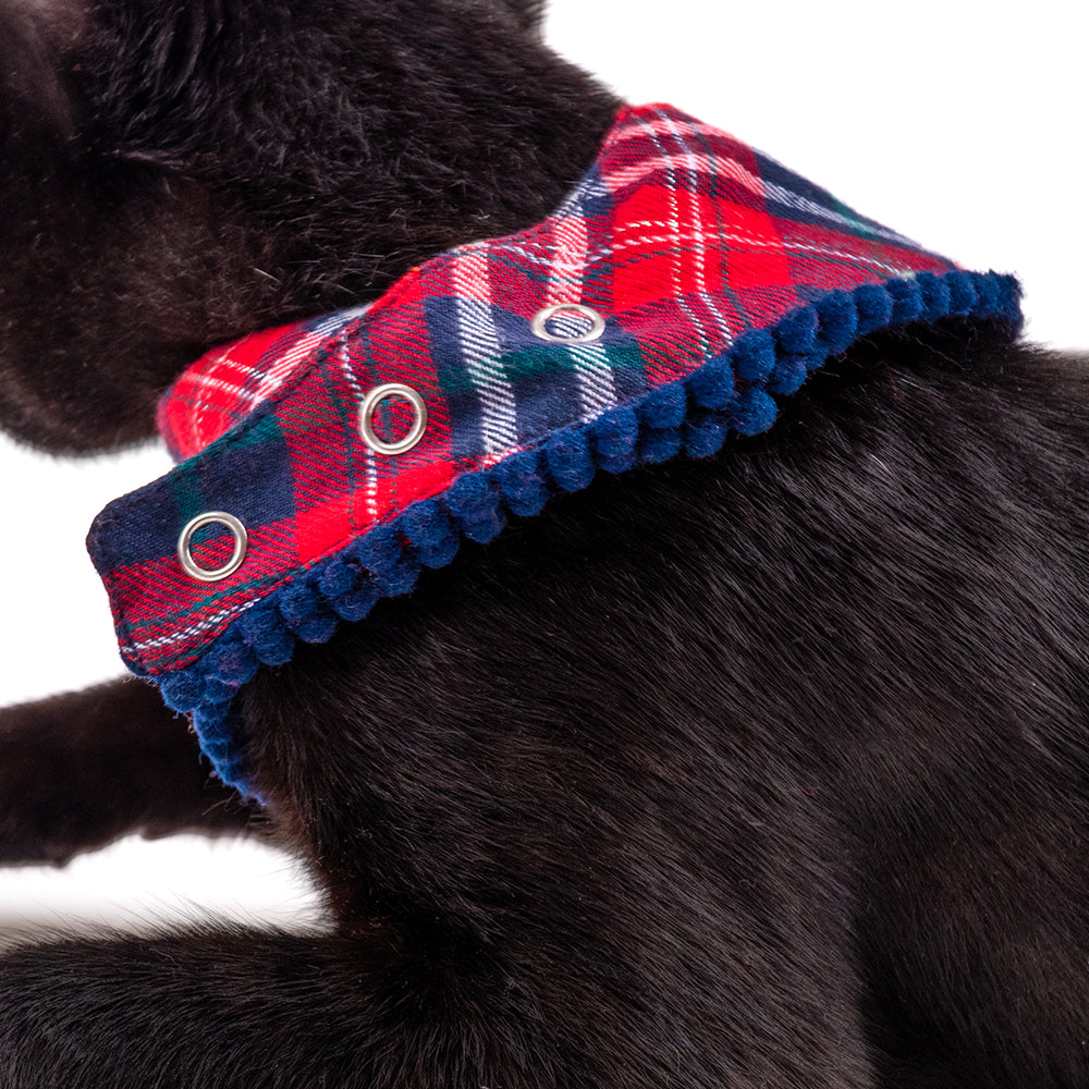 HUFT Merry All Around Pet Scarf (Red and Blue) - Heads Up For Tails