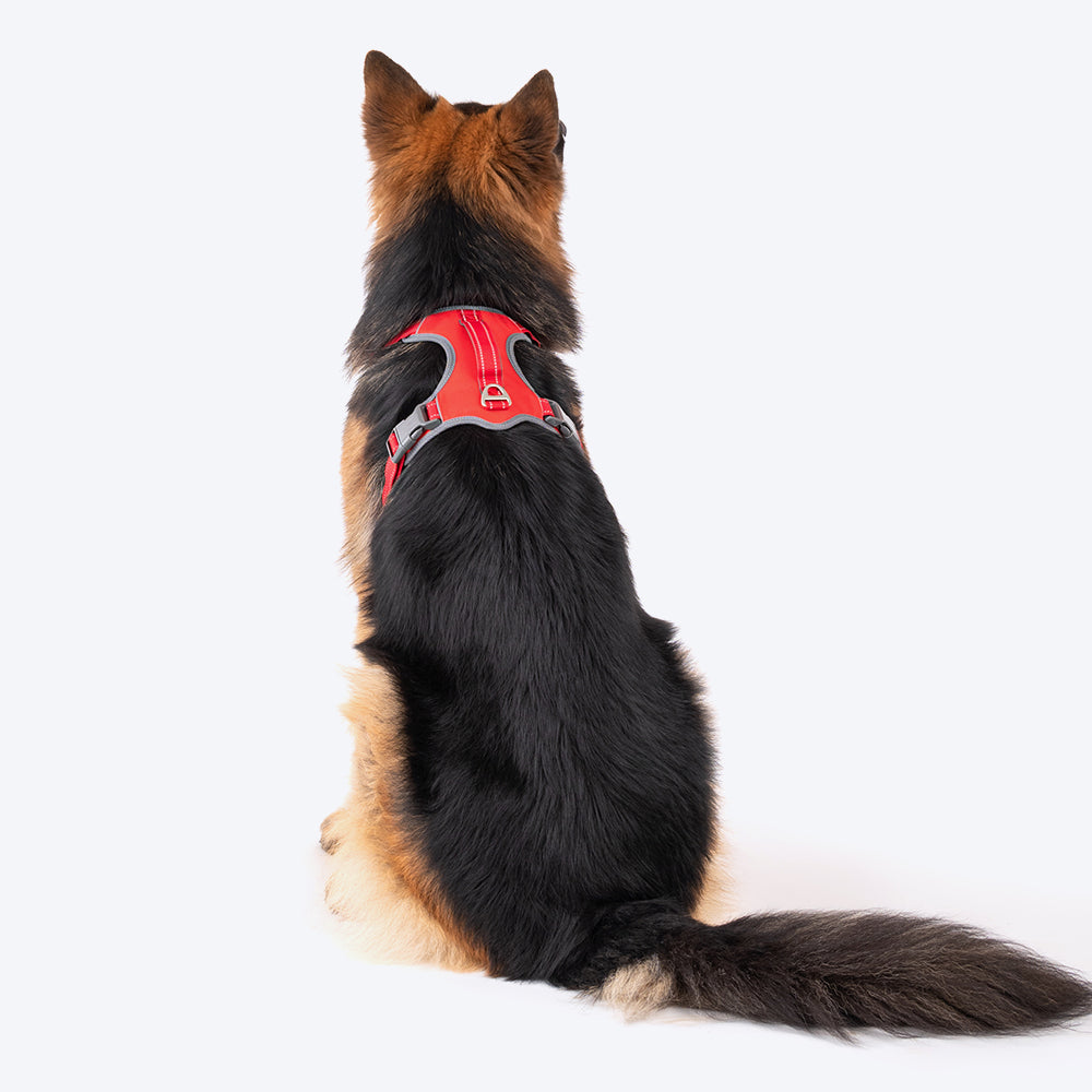 HUFT Active Pet Dog Harness - Red_07