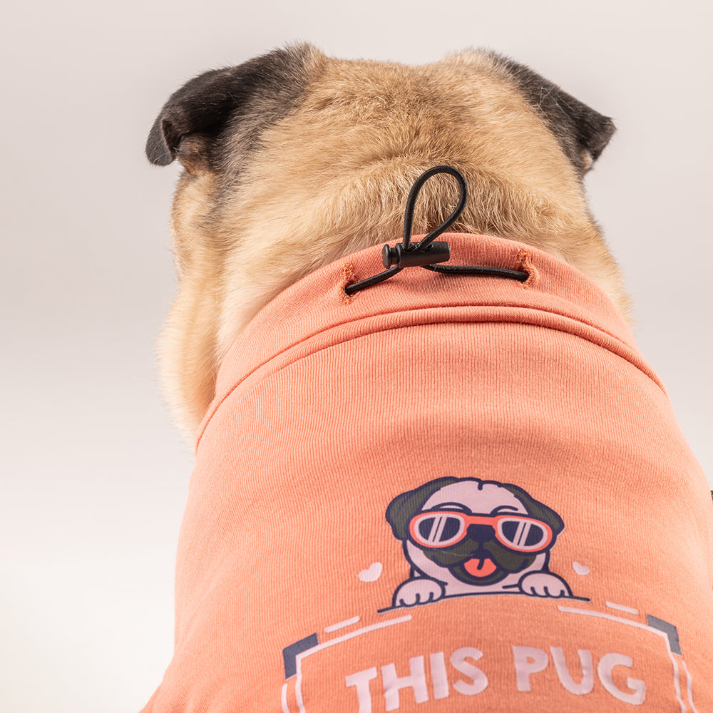 HUFT This Pug Is A Snuggle Bug T-shirt - Heads Up For Tails