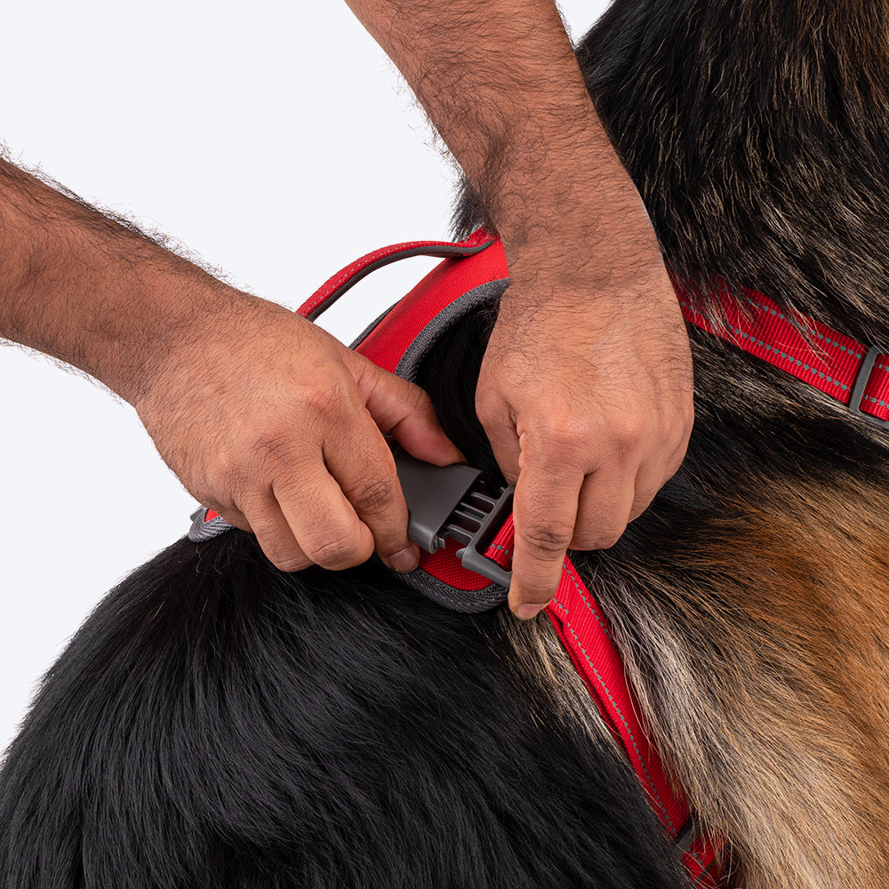 HUFT Active Pet Dog Harness - Red_12