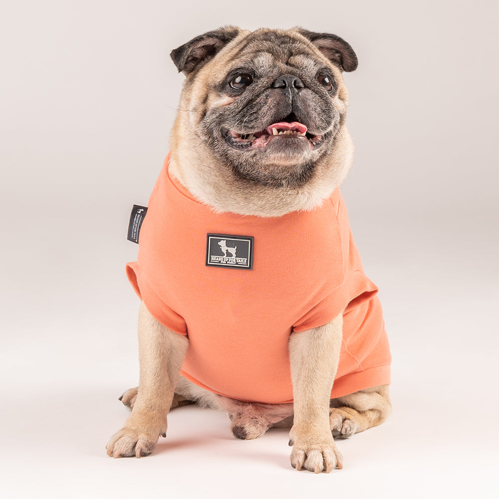 HUFT This Pug Is A Snuggle Bug Dog T-shirt – Heads Up For Tails