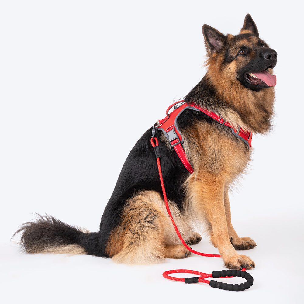 HUFT Active Pet Dog Harness - Red_09