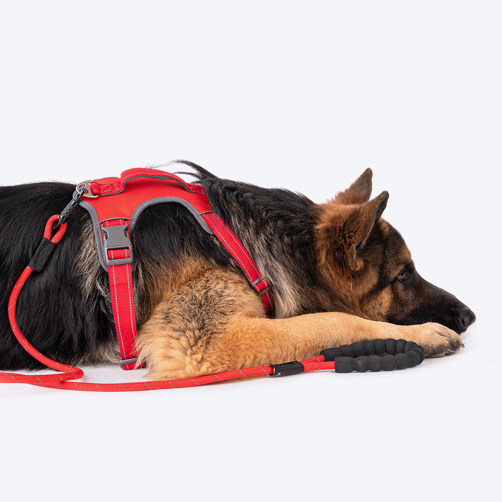 HUFT Active Pet Dog Harness - Red_13