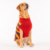 HUFT Classic Stripe Pet Sweater - Multi - Heads Up For Tails