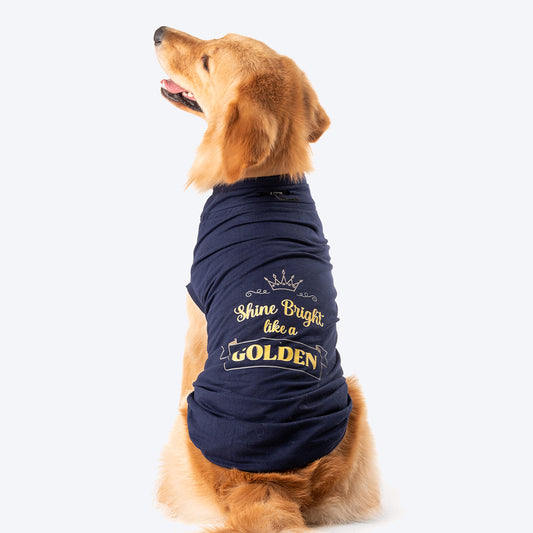 HUFT Shine Bright Like A Golden T-shirt - Heads Up For Tails