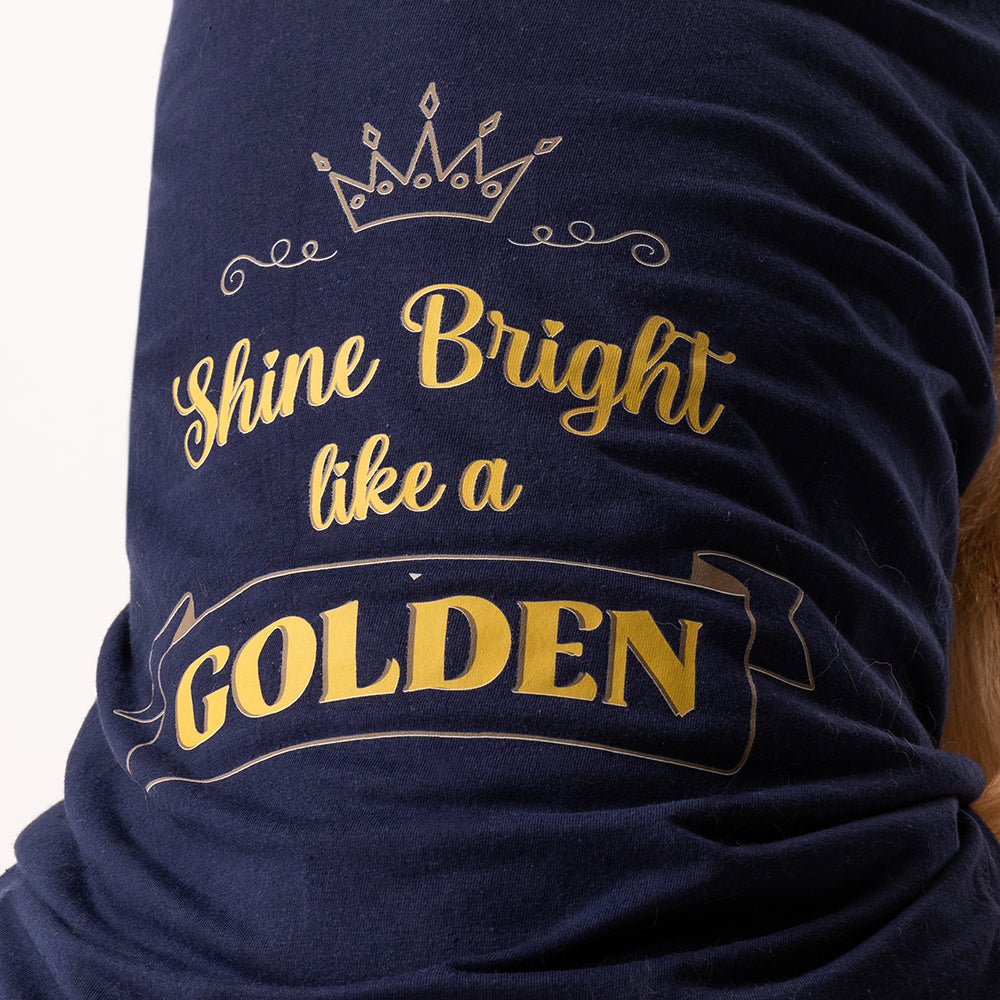 HUFT Shine Bright Like A Golden T-shirt - Heads Up For Tails