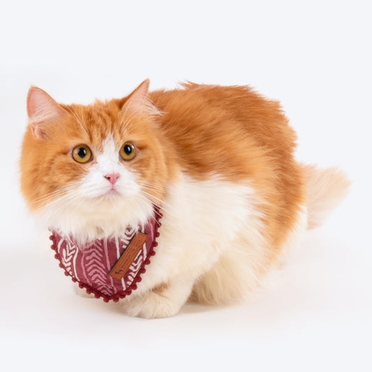HUFT The Indian Collective Gul Cat Bandana - Maroon - Heads Up For Tails