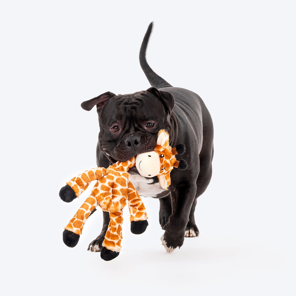 HUFT Leggy Giraffe Rope Dog Toy - Heads Up For Tails