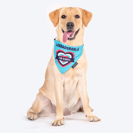HUFT Personalised Labradorable (Pet¢€š¬…¡¬€š¬…¾¢s Name) Bandana - Heads Up For Tails