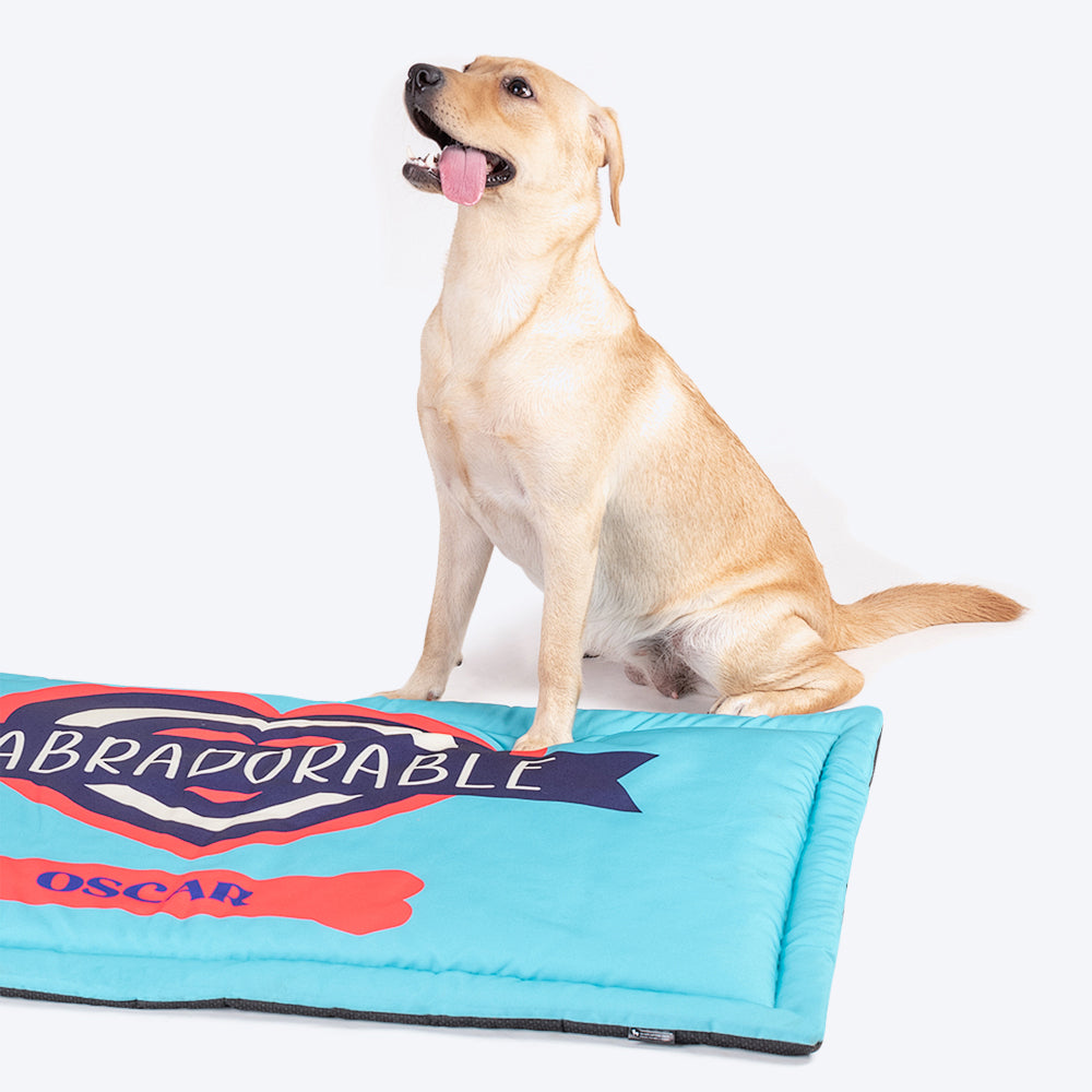 Personalised dog mat sale