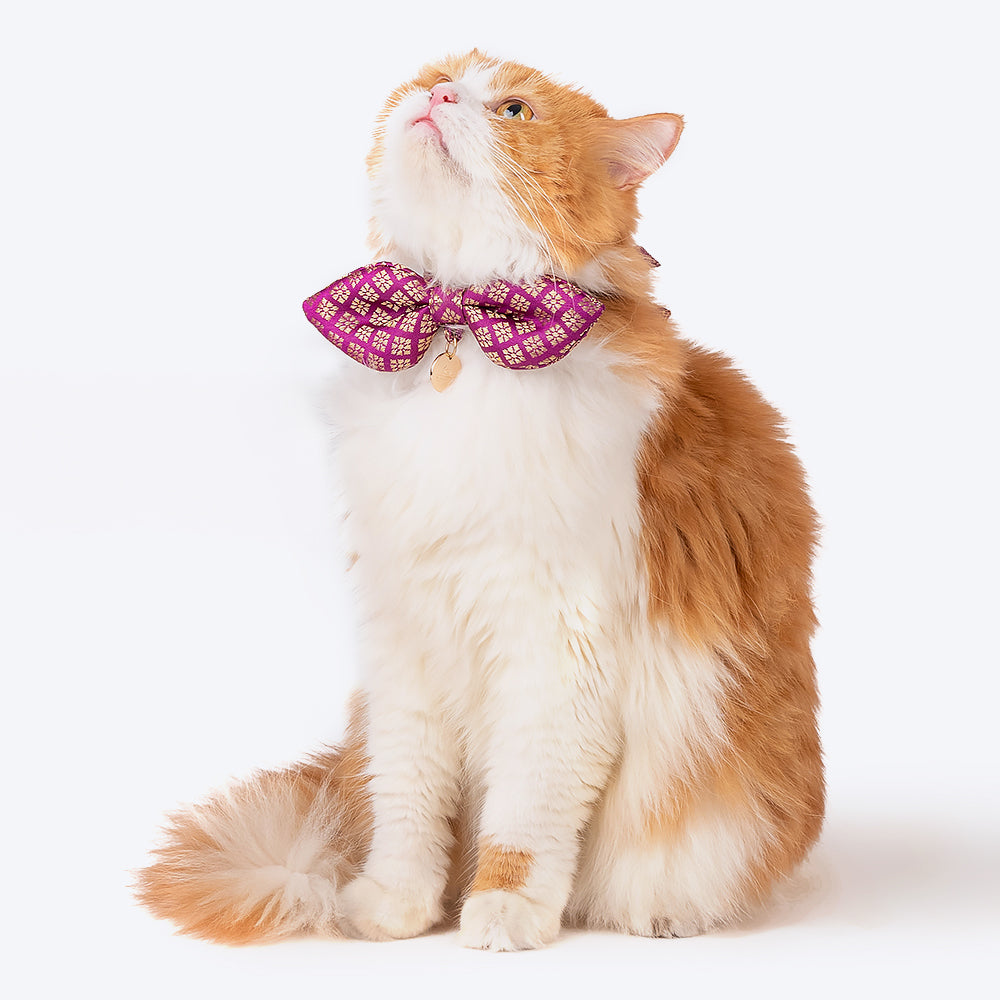 HUFT The Indian Collective Shahi Cat Bow Tie With Strap - Heads Up For Tails