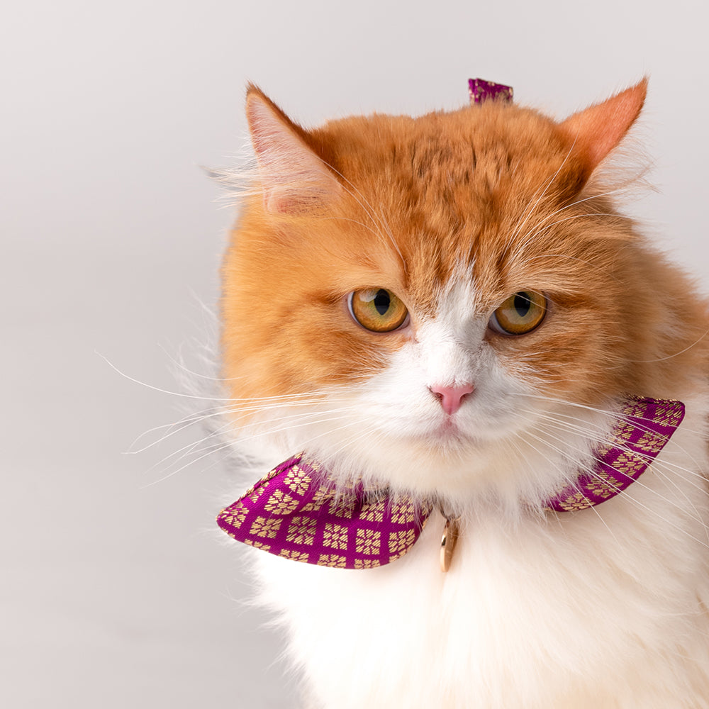 HUFT The Indian Collective Shahi Cat Bow Tie With Strap - Heads Up For Tails