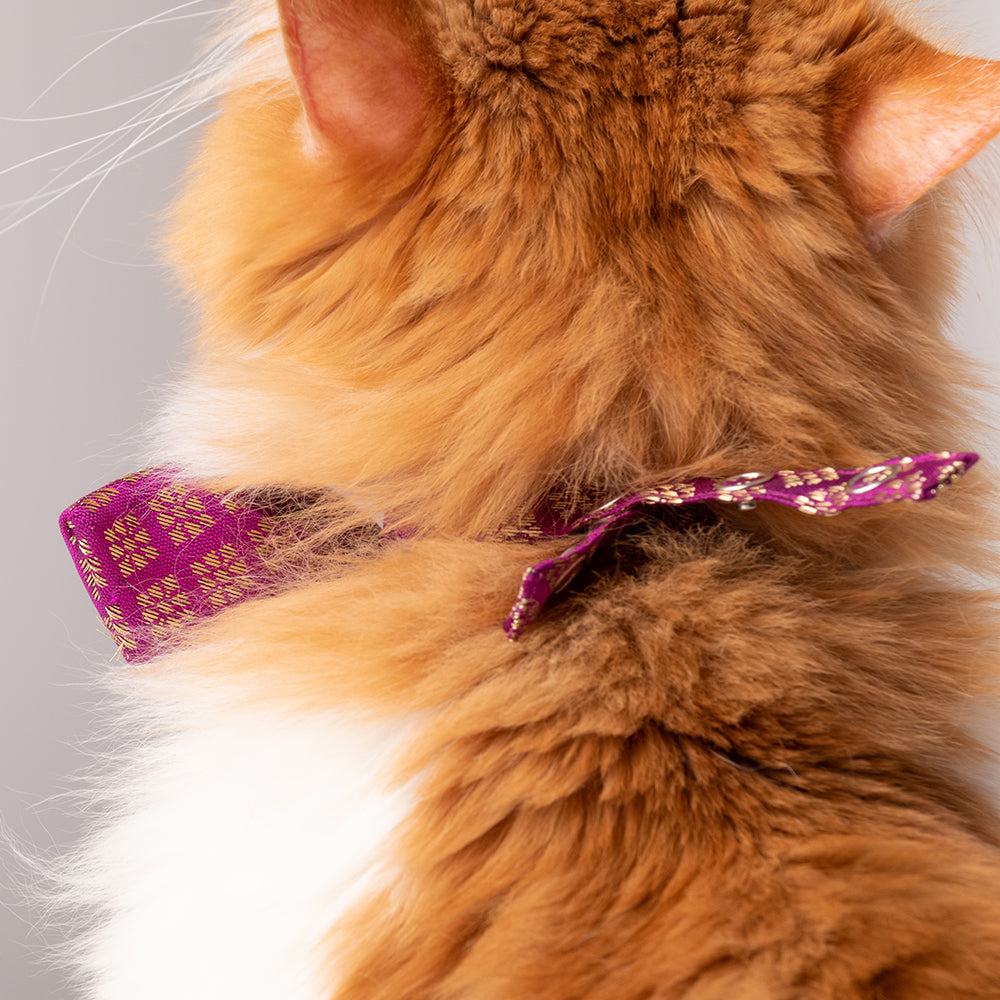 HUFT The Indian Collective Shahi Cat Bow Tie With Strap - Heads Up For Tails