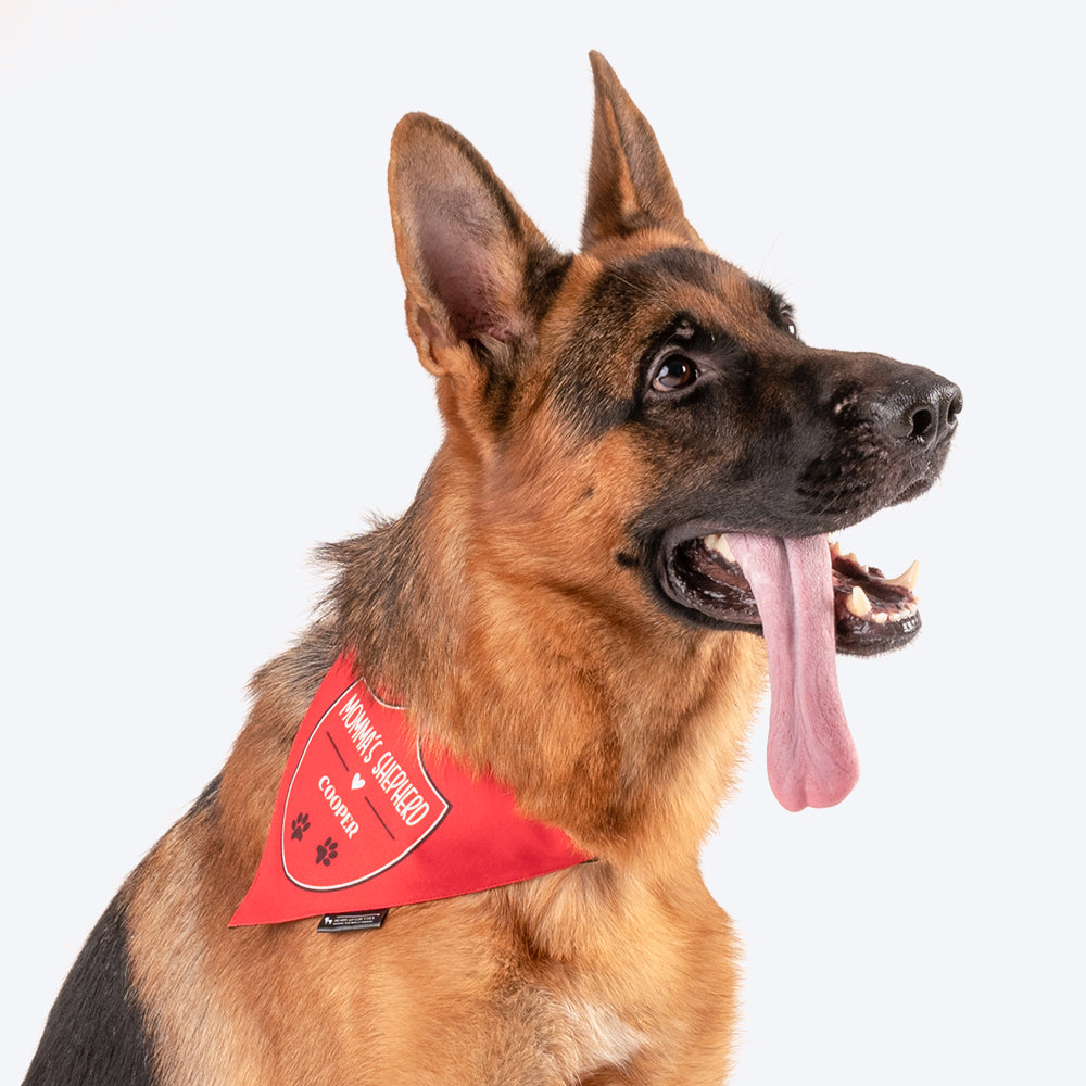 Pets First NFL DOG BANDANA - KANSAS CITY CHIEFS REVERSIBLE PET BANDANA. 2  Sided Sports Bandana with a PREMIUM Embroidery TEAM LOGO, Small/Medium. - 2  Sizes & 32 NFL Teams available (KCC-3217-S-M)