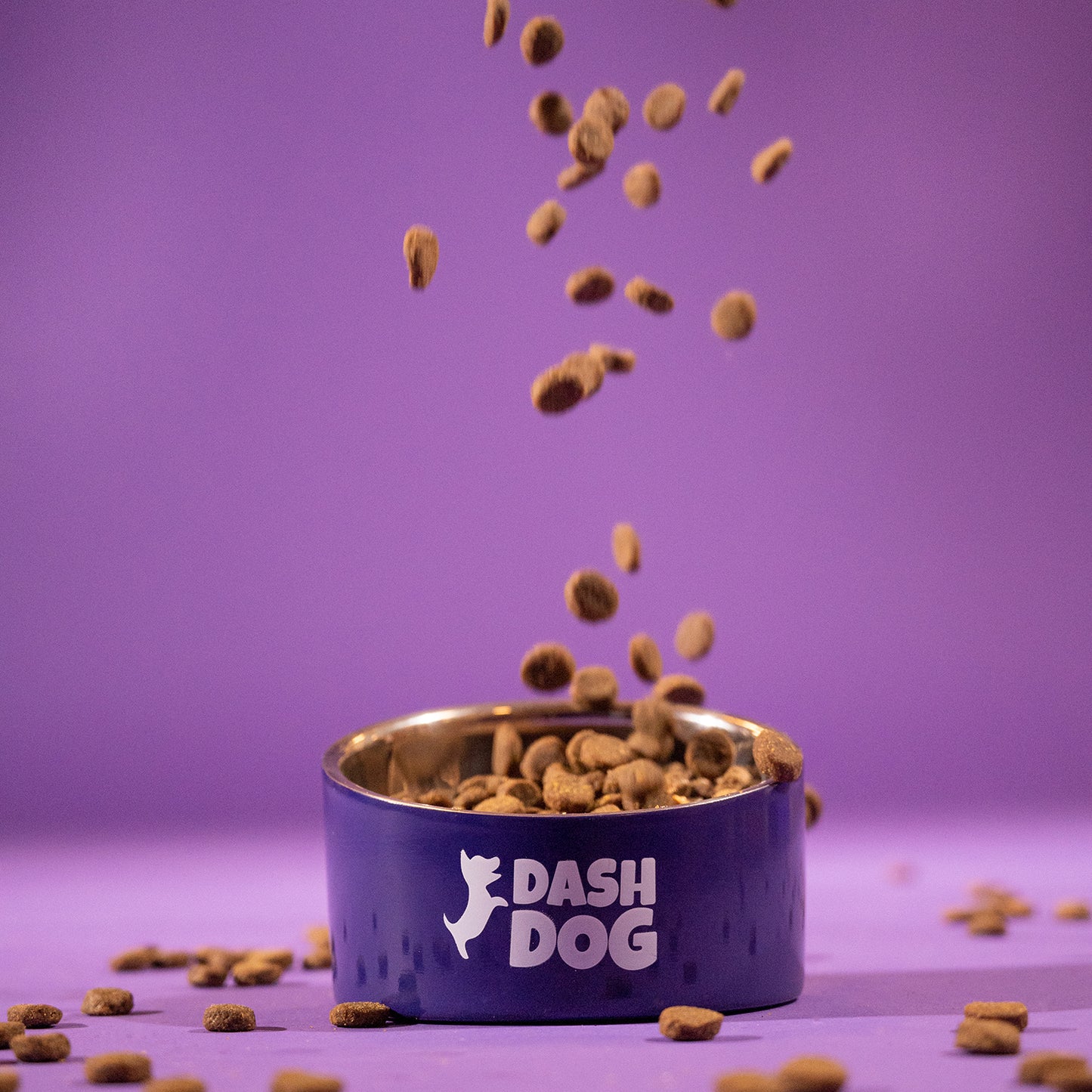 Dash Dog Eclipse Bowl For Pets - Heads Up For Tails